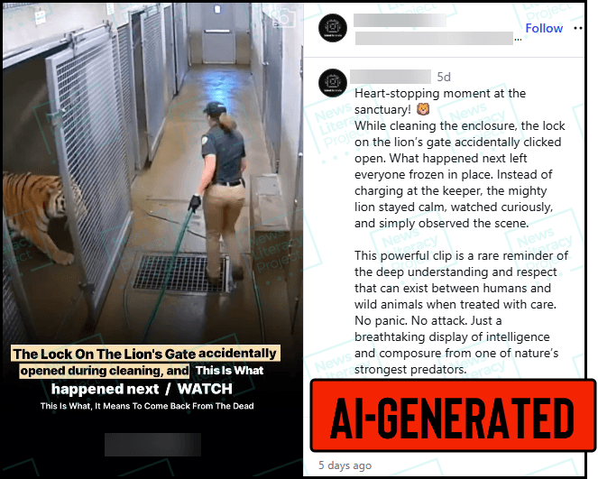 Tiger Inscap Video of tiger escaping enclosure is AI-generated